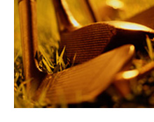 @Work: Consumer Products Casting